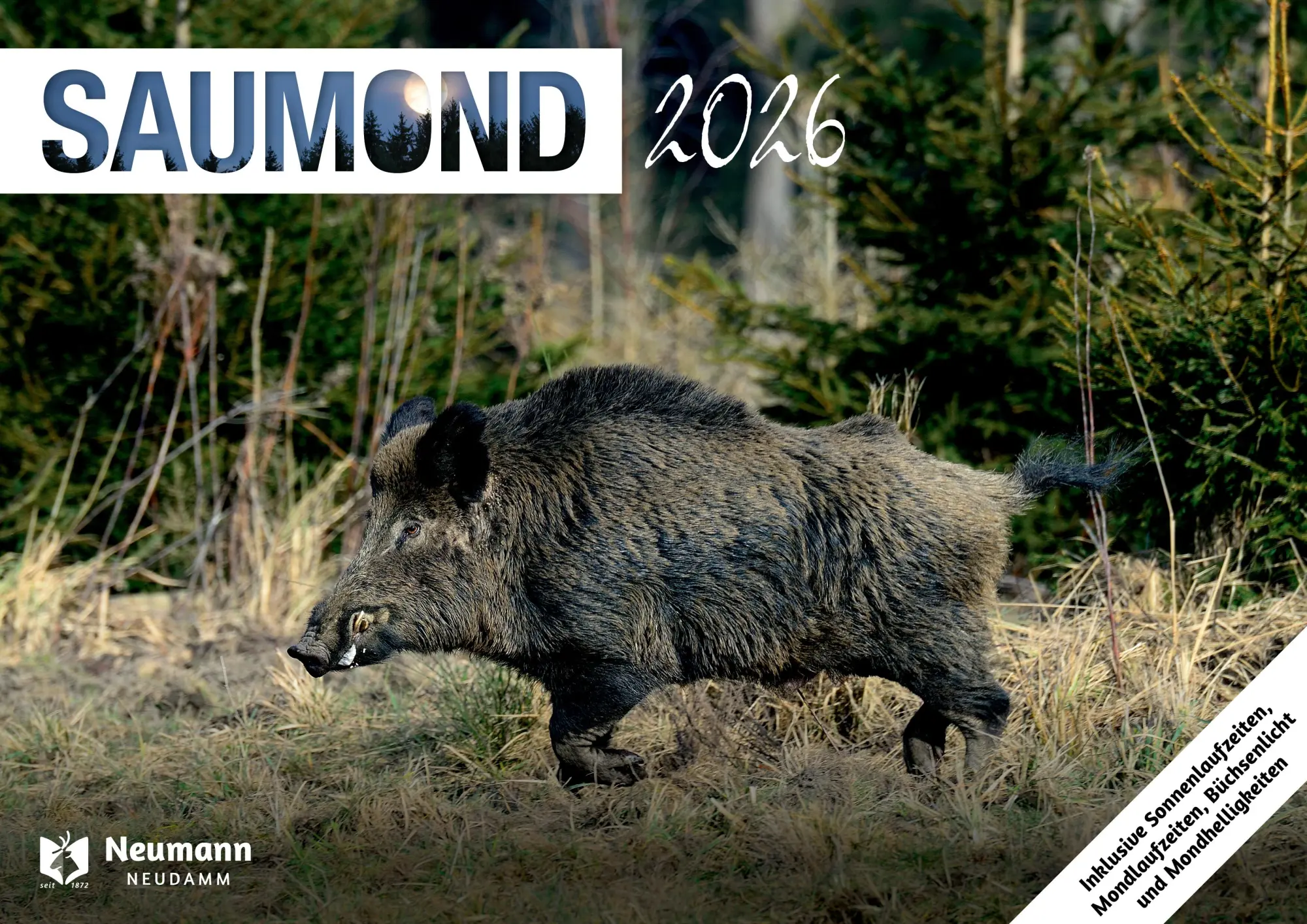 Cover: 9783788821098 | Saumond 2026 | Kalender | 13 S. | Deutsch | 2026 | EAN 9783788821098