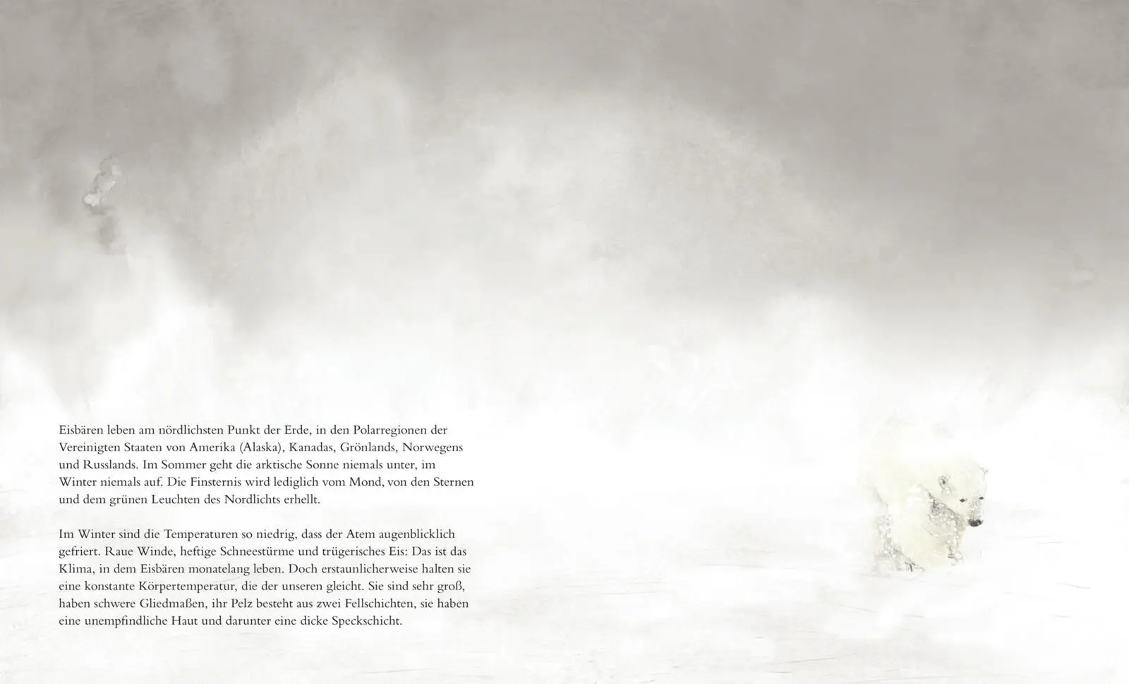 Bild: 9783848901098 | Der Eisbär | Jenni Desmond | Buch | 48 S. | Deutsch | 2017 | Aladin
