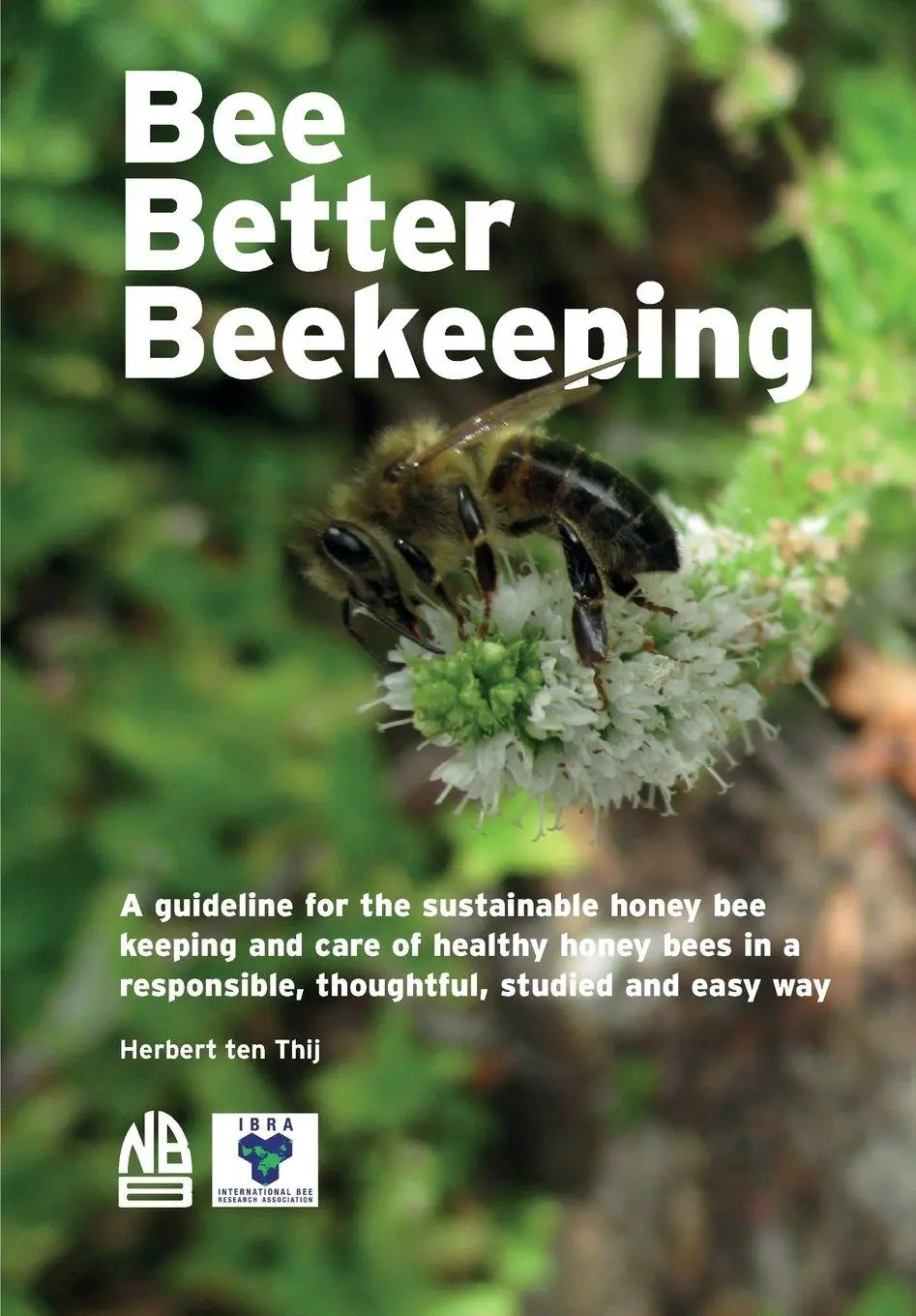 Cover: 9781913811198 | Bee Better Beekeeping | Herbert Ten Thij | Taschenbuch | Englisch