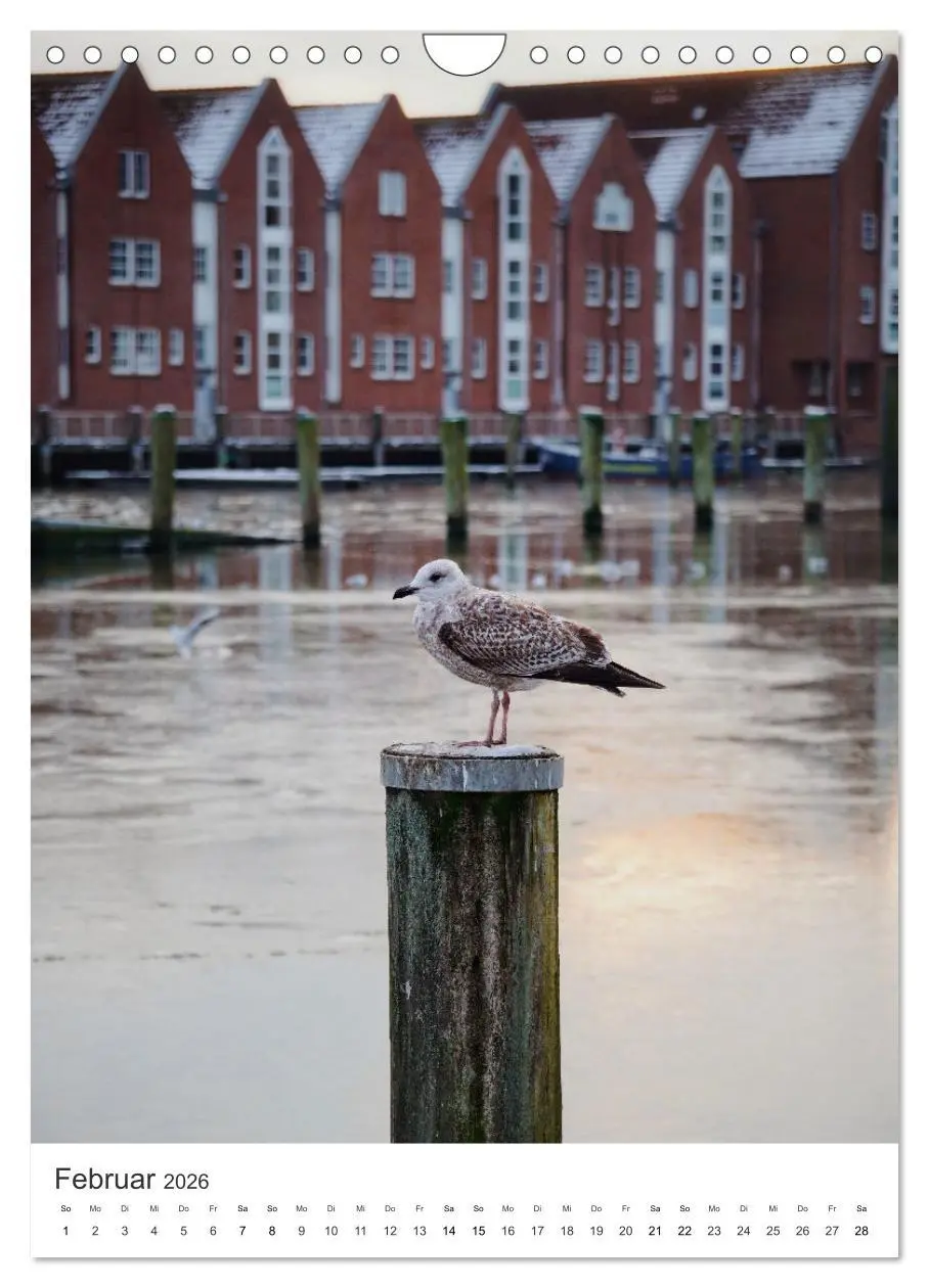 Bild: 9783516241198 | Husum - graue Stadt am Meer (Wandkalender 2026 DIN A4 hoch),...