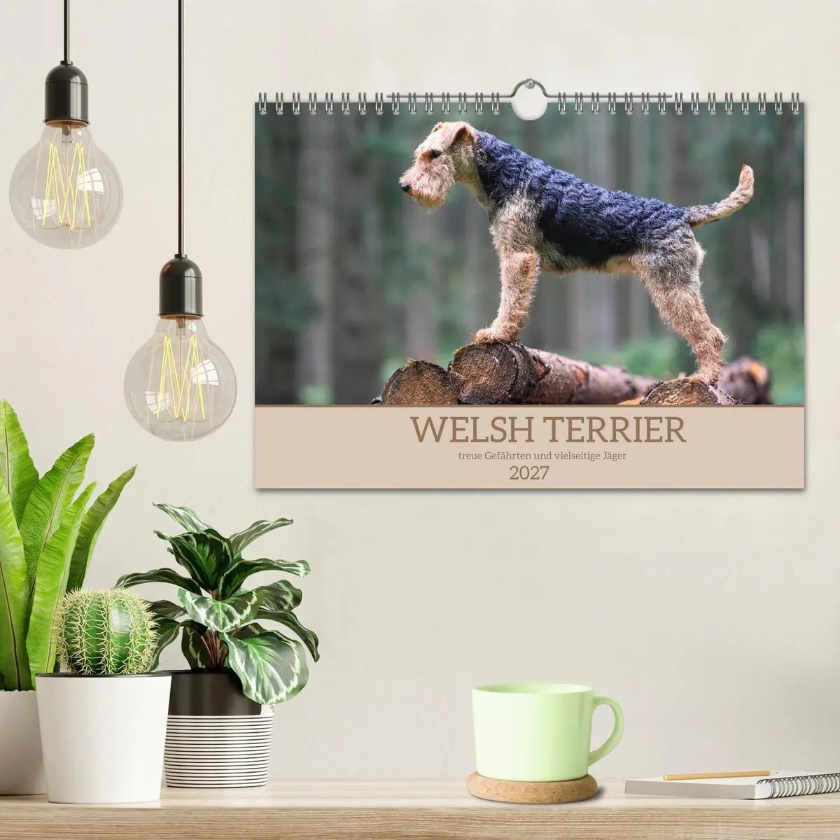 Bild: 9783594391198 | Welsh Terrier - treue Gefährten und vielseitige Jäger (Wandkalender...