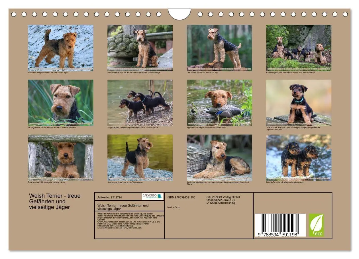 Bild: 9783594391198 | Welsh Terrier - treue Gefährten und vielseitige Jäger (Wandkalender...