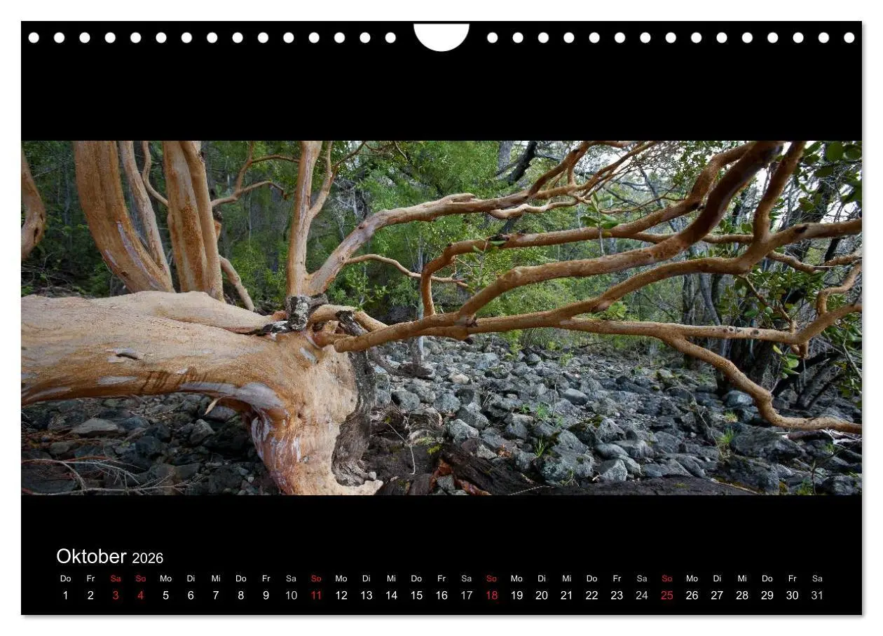Bild: 9783516161298 | Patagonien - Ungezähmtes Land (Wandkalender 2026 DIN A4 quer),...
