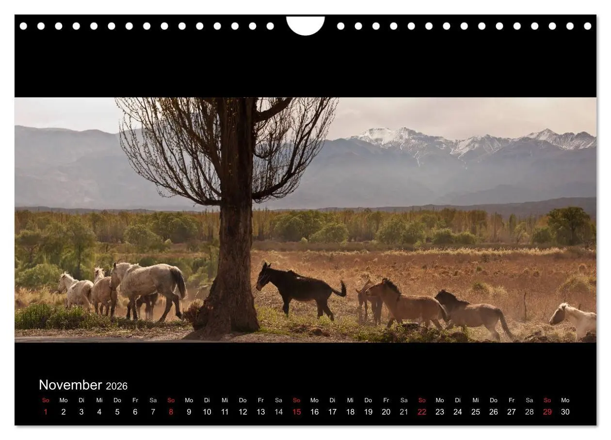 Bild: 9783516161298 | Patagonien - Ungezähmtes Land (Wandkalender 2026 DIN A4 quer),...