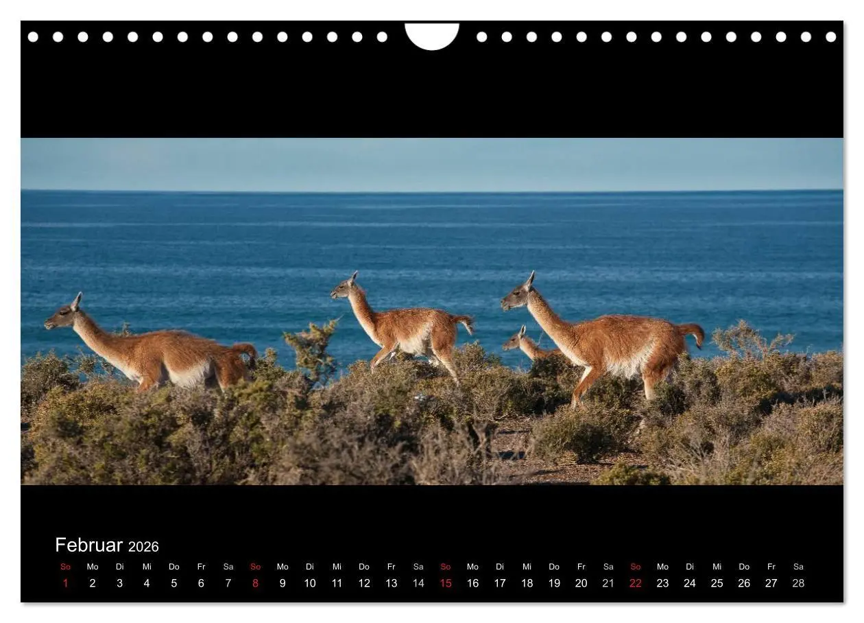 Bild: 9783516161298 | Patagonien - Ungezähmtes Land (Wandkalender 2026 DIN A4 quer),...