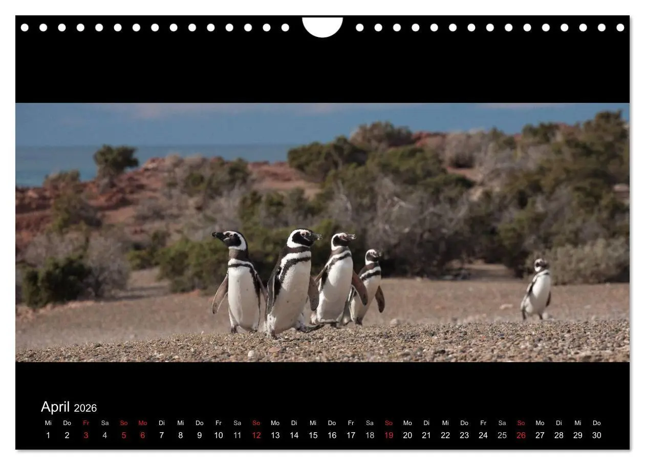 Bild: 9783516161298 | Patagonien - Ungezähmtes Land (Wandkalender 2026 DIN A4 quer),...