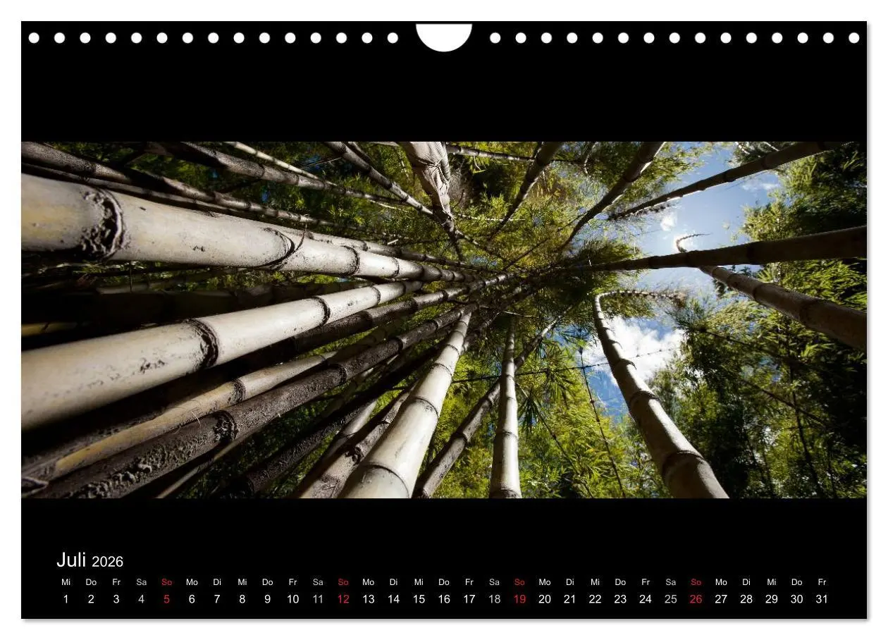 Bild: 9783516161298 | Patagonien - Ungezähmtes Land (Wandkalender 2026 DIN A4 quer),...