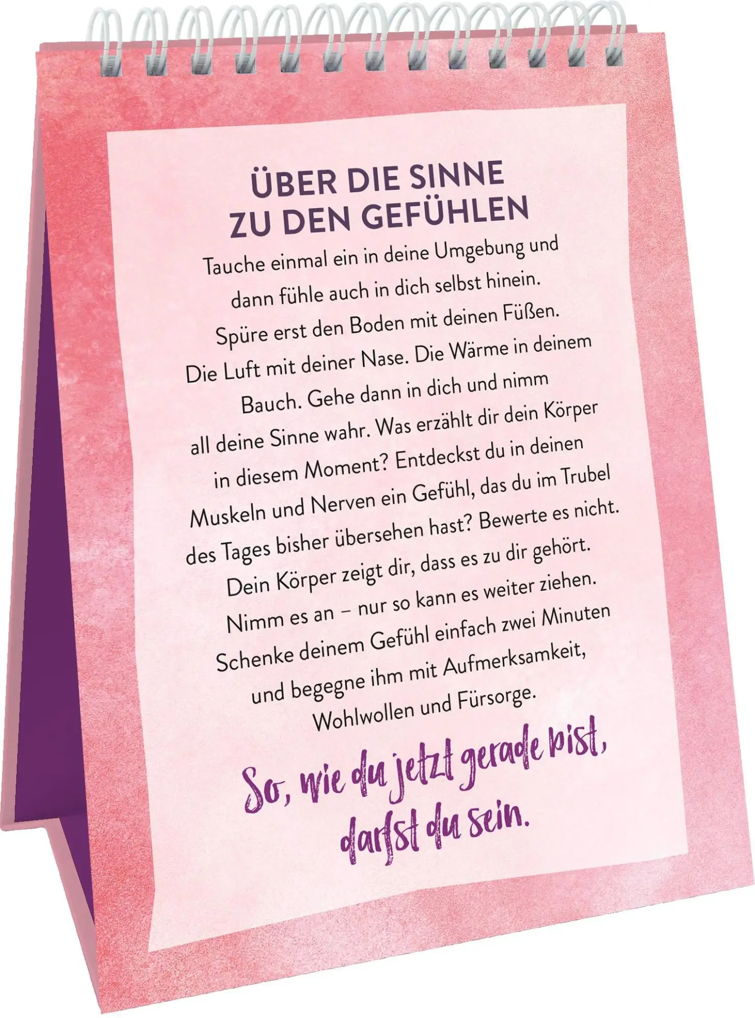 Bild: 9783848501298 | Innehalten, atmen, dankbar sein. Achtsamkeit für zwischendurch | Buch