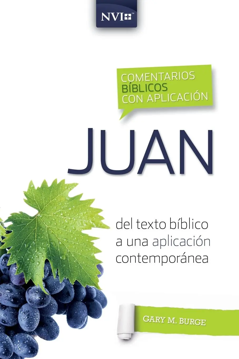 Cover: 9780829771398 | Comentario bíblico con aplicación NVI Juan | Gary M. Burge | Buch