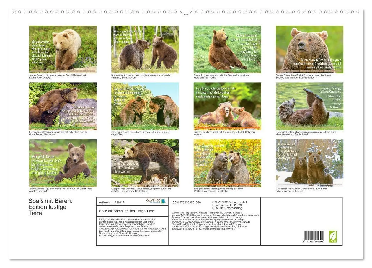 Bild: 9783383881398 | Spaß mit Bären: Edition lustige Tiere (Wandkalender 2025 DIN A2...