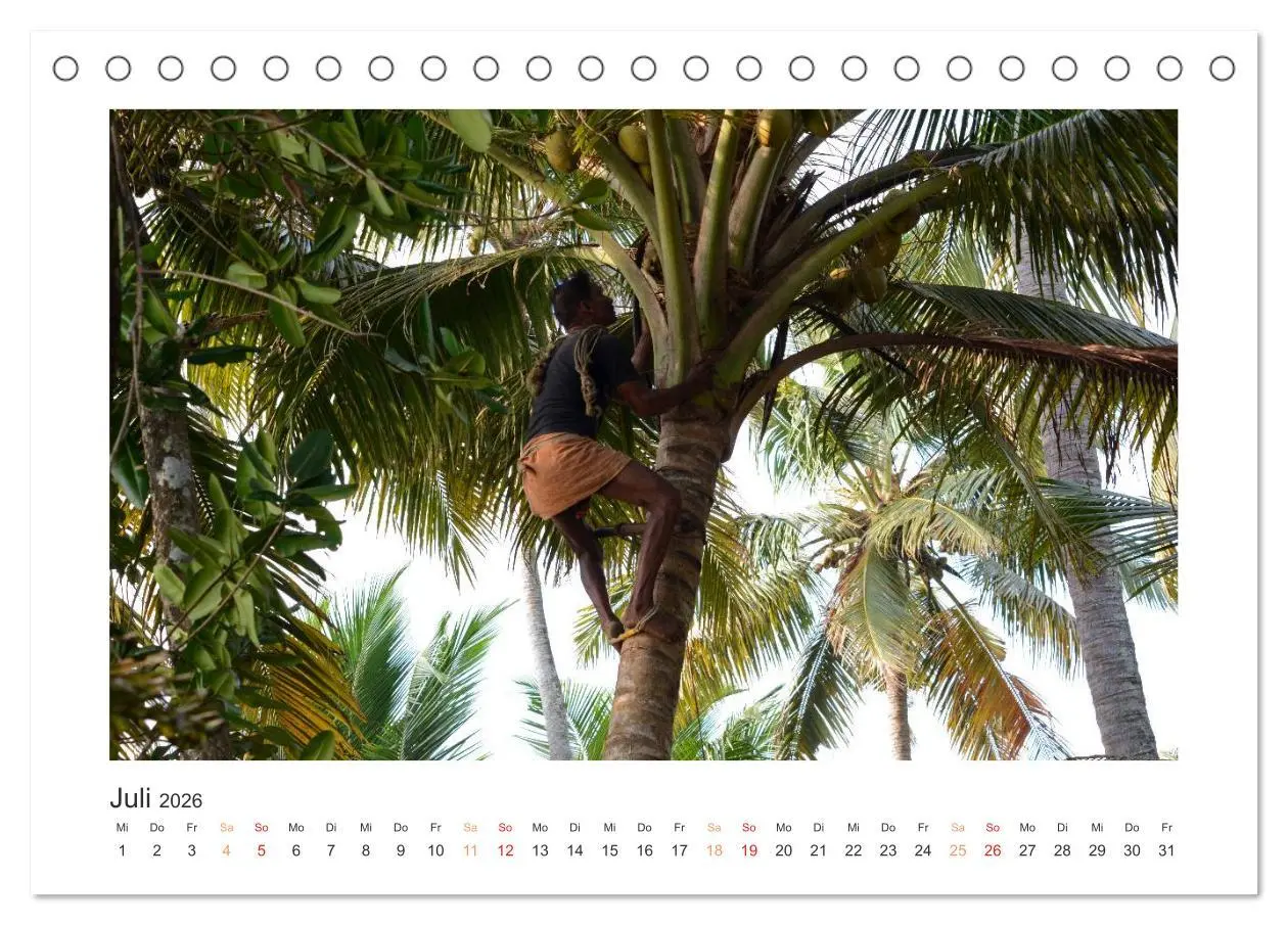 Bild: 9783516221398 | Kerala - Im Süden Indiens (Tischkalender 2026 DIN A5 quer),...