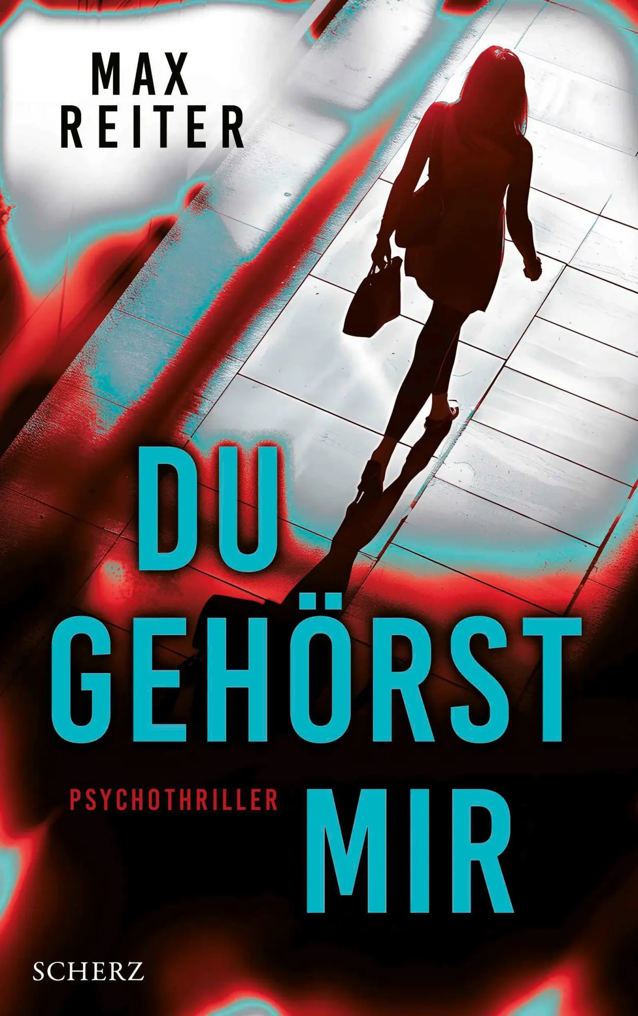Cover: 9783651001398 | Du gehörst mir | Psychothriller | Max Reiter | Taschenbuch | 336 S.