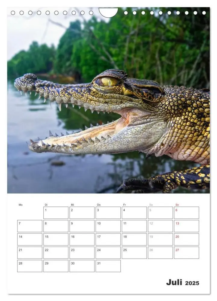 Bild: 9783457051498 | Sri Lanka 2025 - Exotisches Paradies - Jahresplaner (Wandkalender...