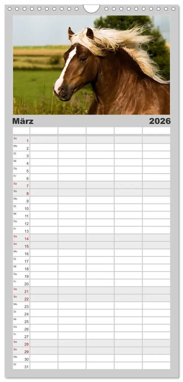 Bild: 9783516521498 | Familienplaner 2026 - Faszination und Vielfalt - Schwarzwälder...