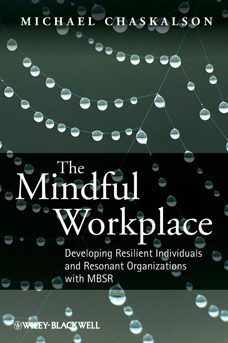 Cover: 9780470661598 | The Mindful Workplace | Michael Chaskalson | Taschenbuch | 226 S.