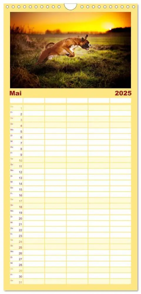 Bild: 9783457111598 | Familienplaner 2025 - Deutscher Boxer mit 5 Spalten (Wandkalender,...