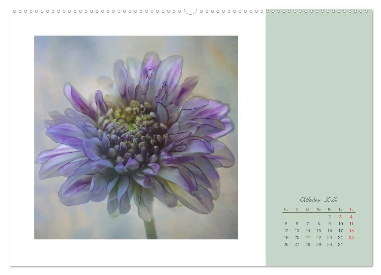 Bild: 9783516201598 | Blütenträume (hochwertiger Premium Wandkalender 2026 DIN A2 quer),...