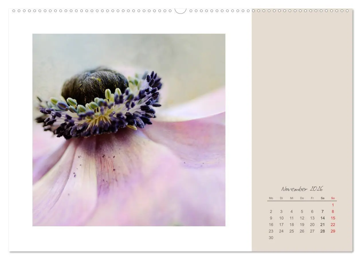 Bild: 9783516201598 | Blütenträume (hochwertiger Premium Wandkalender 2026 DIN A2 quer),...