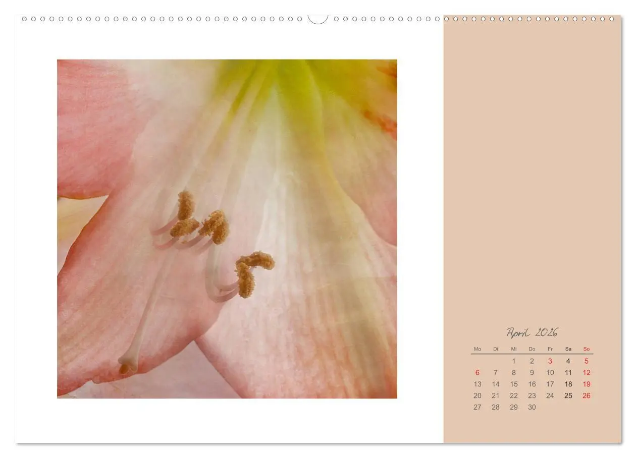 Bild: 9783516201598 | Blütenträume (hochwertiger Premium Wandkalender 2026 DIN A2 quer),...