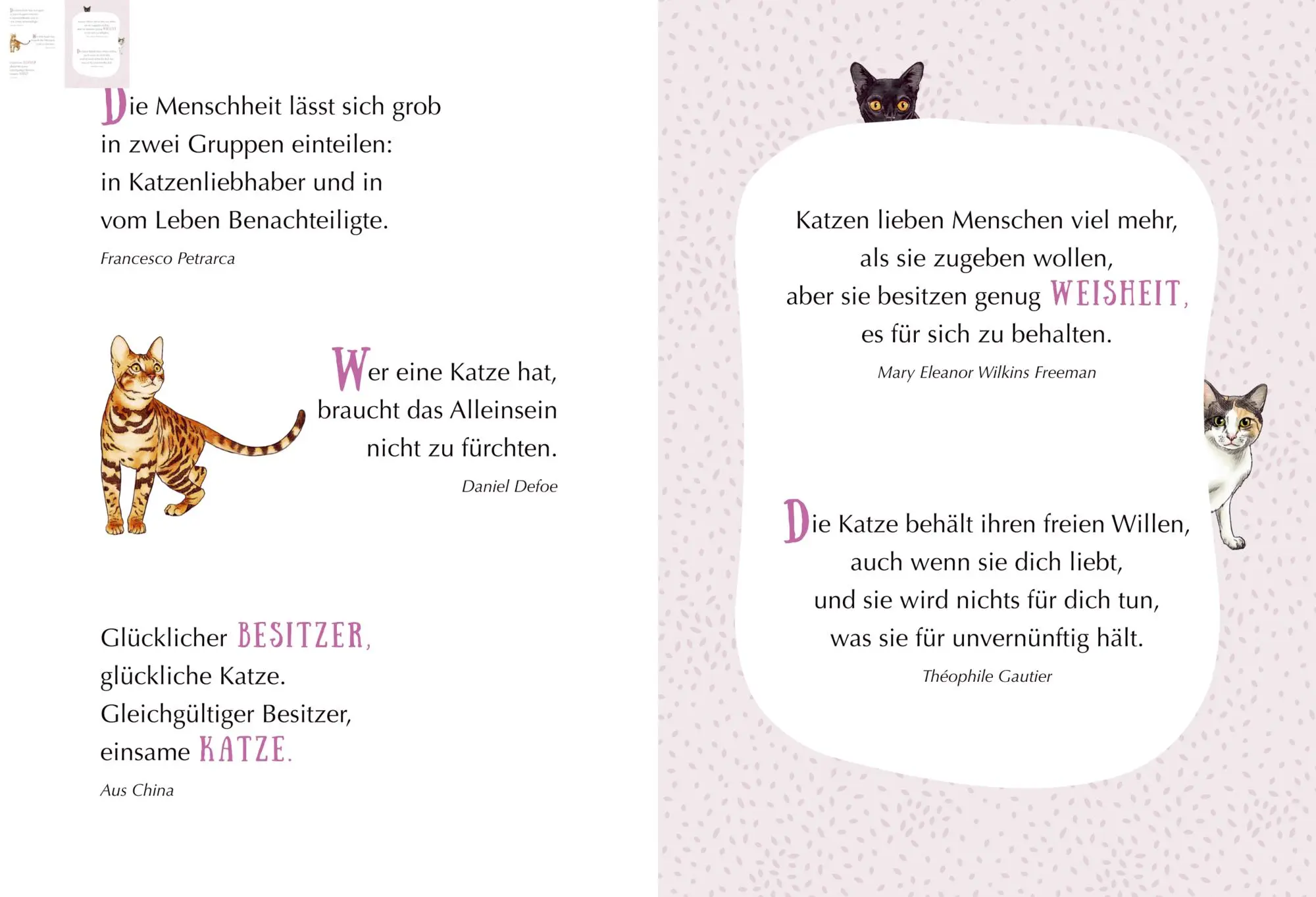 Bild: 9783649651598 | MIAU! - Engel auf Samtpfoten | Julia Gerigk | Taschenbuch | 20 S.
