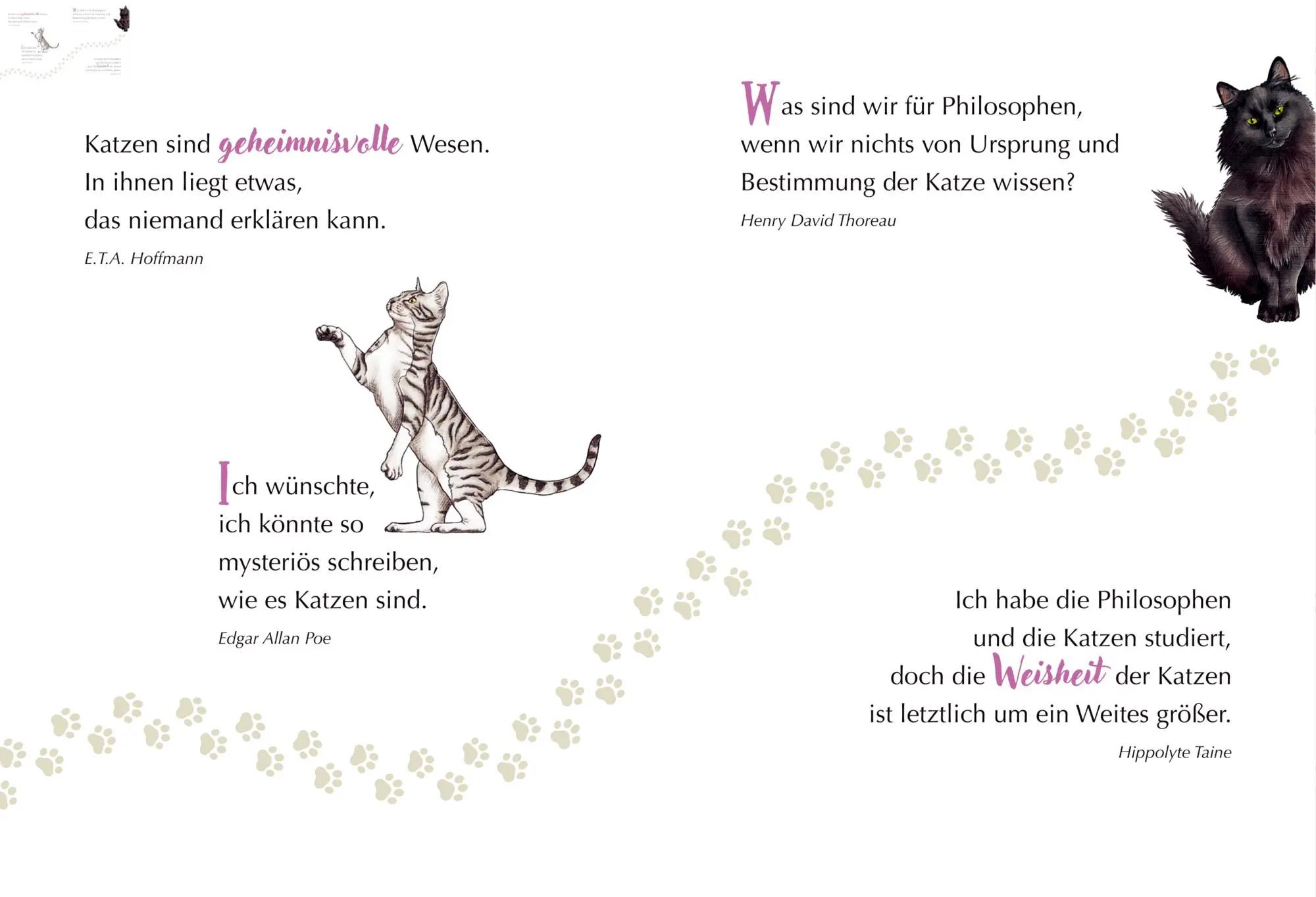 Bild: 9783649651598 | MIAU! - Engel auf Samtpfoten | Julia Gerigk | Taschenbuch | 20 S.