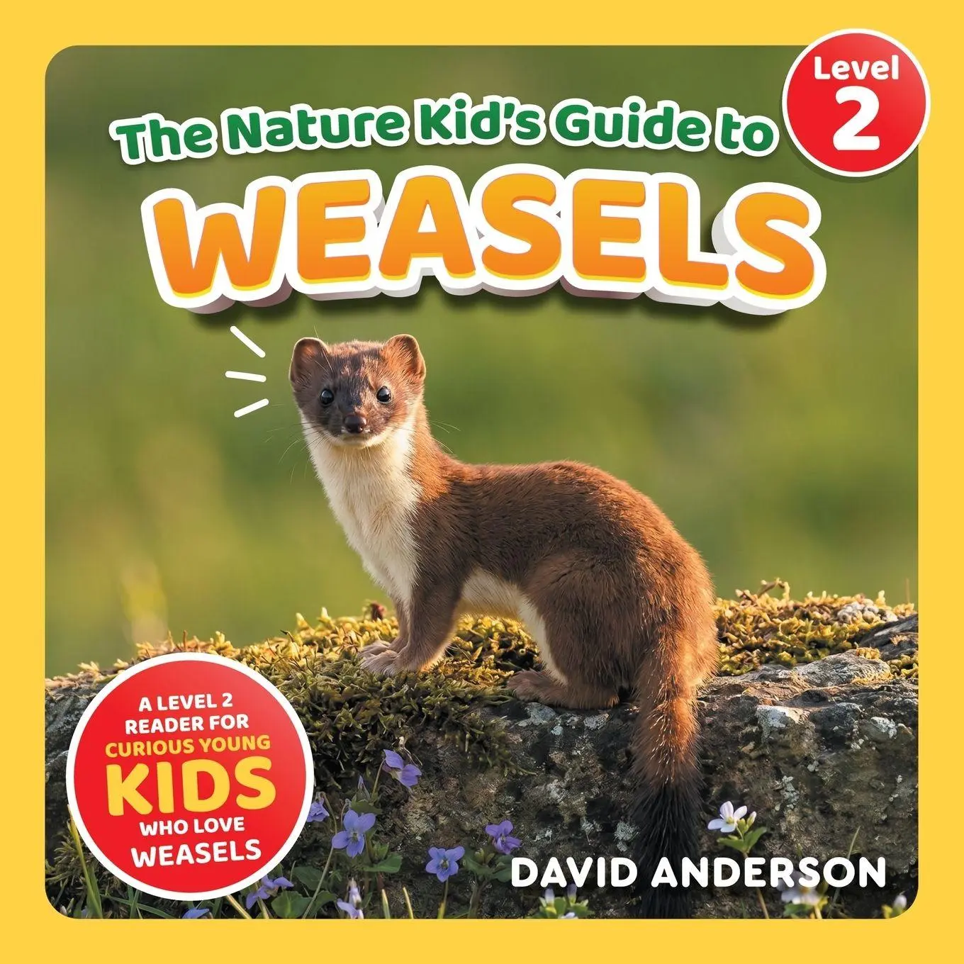 Cover: 9798898181598 | The Nature Kid's Guide to Weasels | David Anderson | Taschenbuch