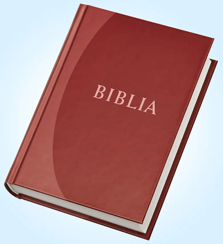Cover: 9783438081698 | Biblia - Bibel Ungarisch | Übersetzung in der Gegenwartssprache | Buch