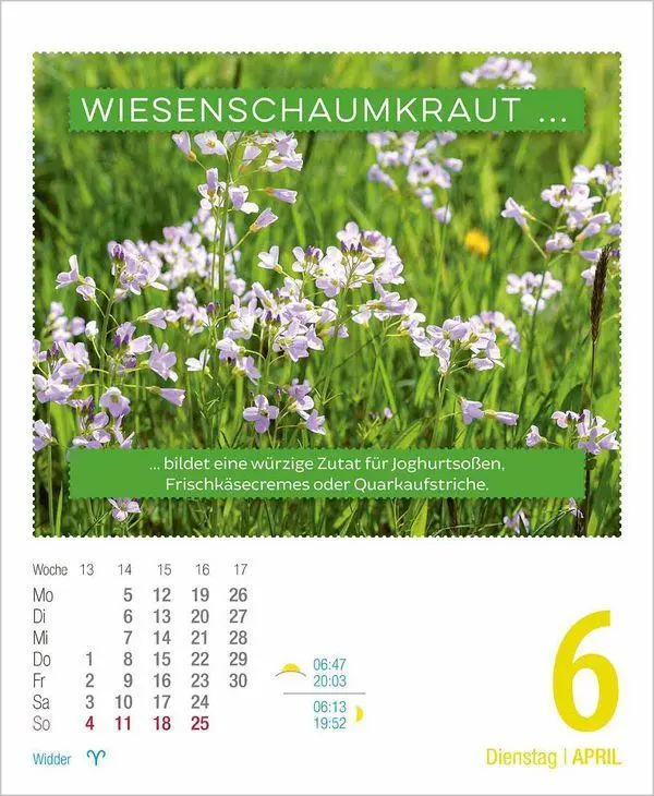 Bild: 9783819301698 | Gesund &amp; Lecker! 2027 | Korsch Verlag | Kalender | 328 S. | Deutsch