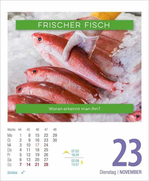 Bild: 9783819301698 | Gesund &amp; Lecker! 2027 | Korsch Verlag | Kalender | 328 S. | Deutsch
