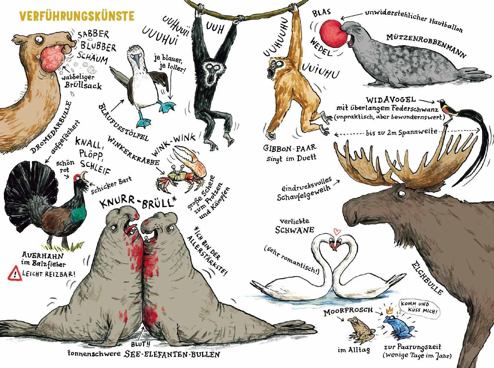 Bild: 9783954701698 | Das Liebesleben der Tiere | Katharina von der Gathen | Buch | 144 S.
