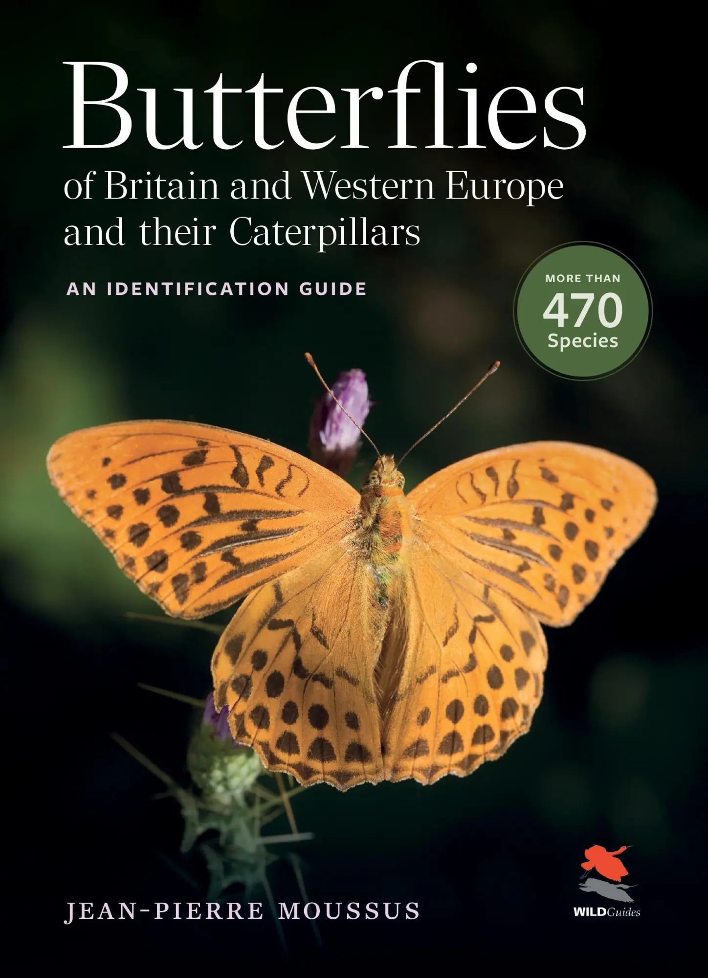 Cover: 9780691271798 | Butterflies of Britain and Western Europe and Their Caterpillars