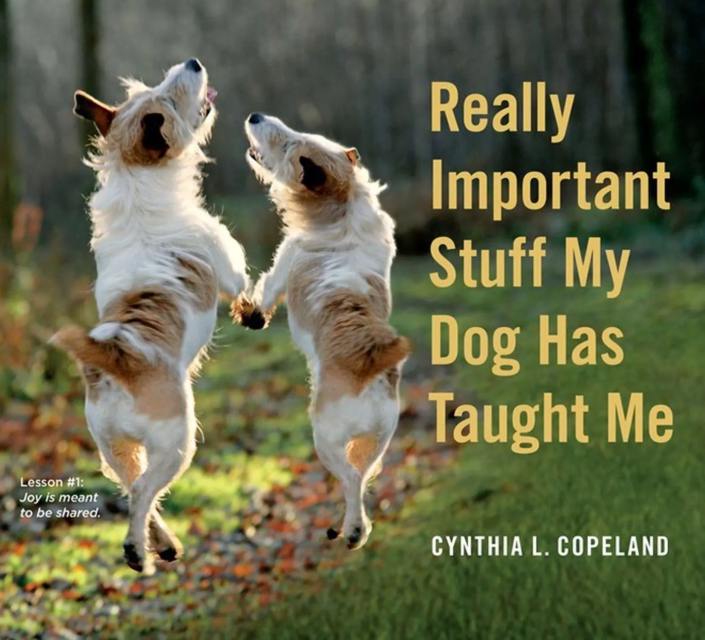 Cover: 9780761181798 | Really Important Stuff My Dog Has Taught Me | Cynthia L Copeland