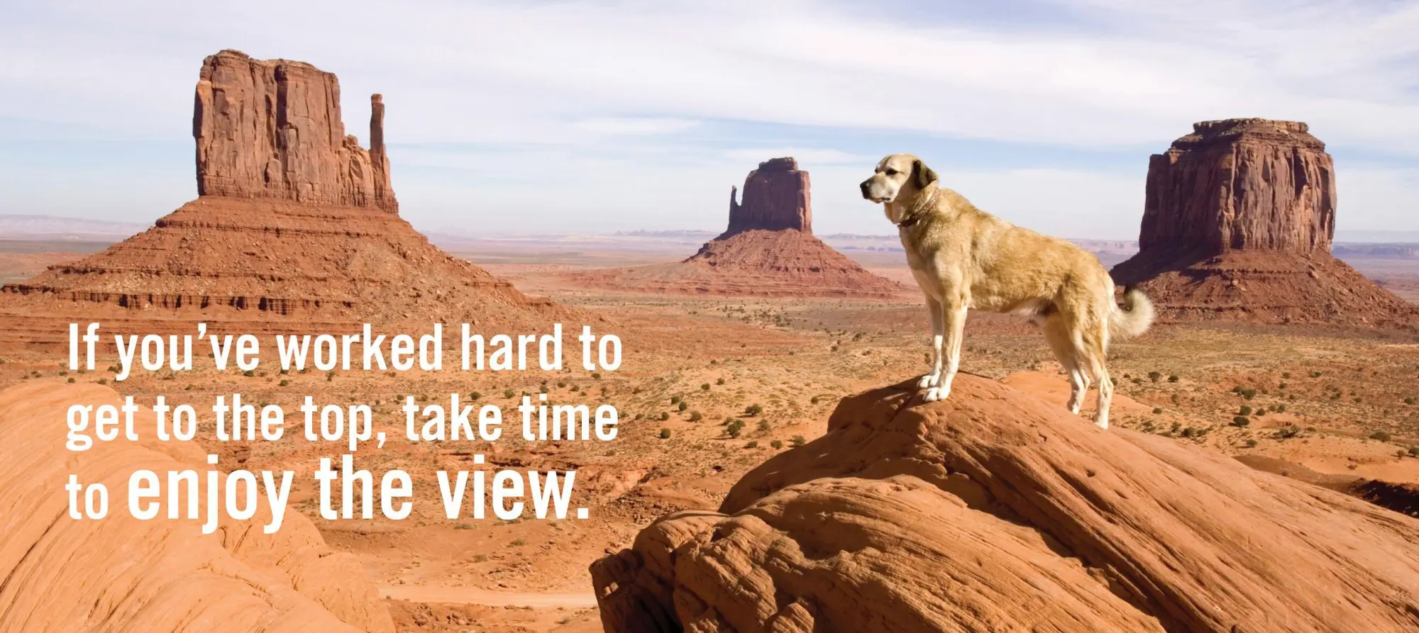 Bild: 9780761181798 | Really Important Stuff My Dog Has Taught Me | Cynthia L Copeland