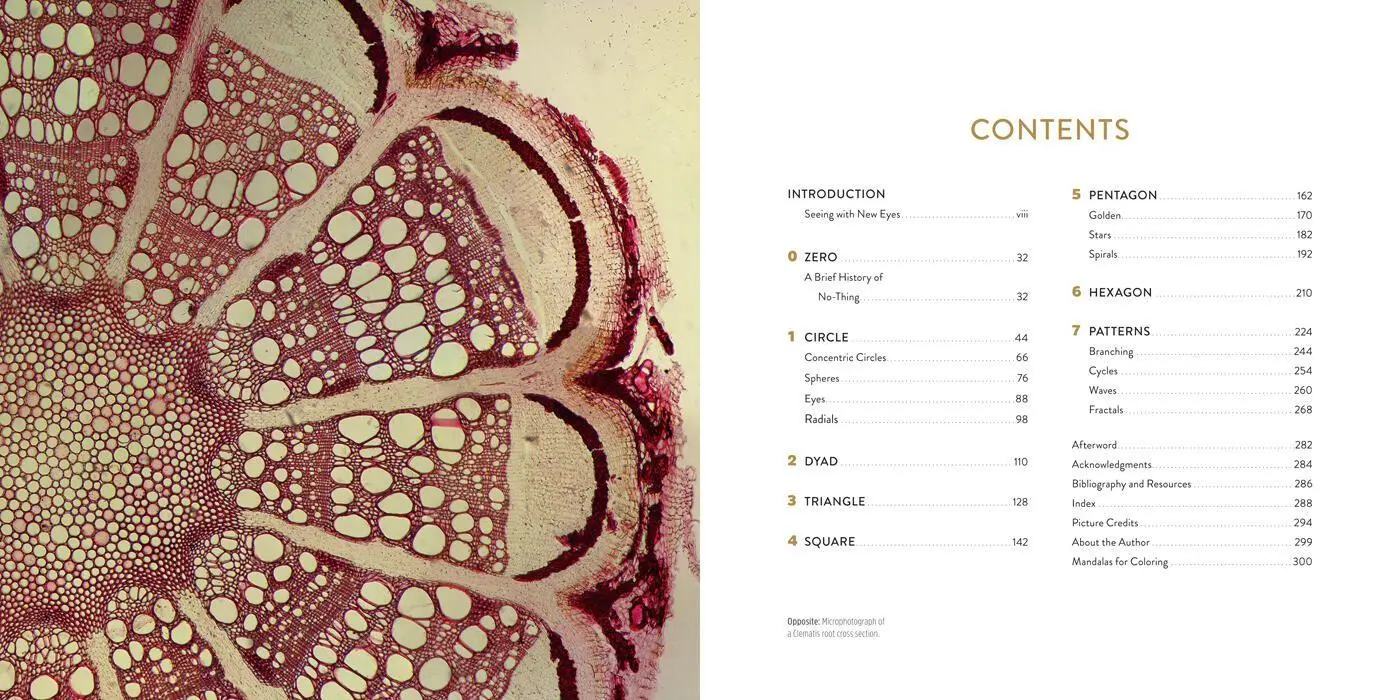 Bild: 9781454941798 | The Mandala Book | Patterns of the Universe | Lori Bailey Cunningham