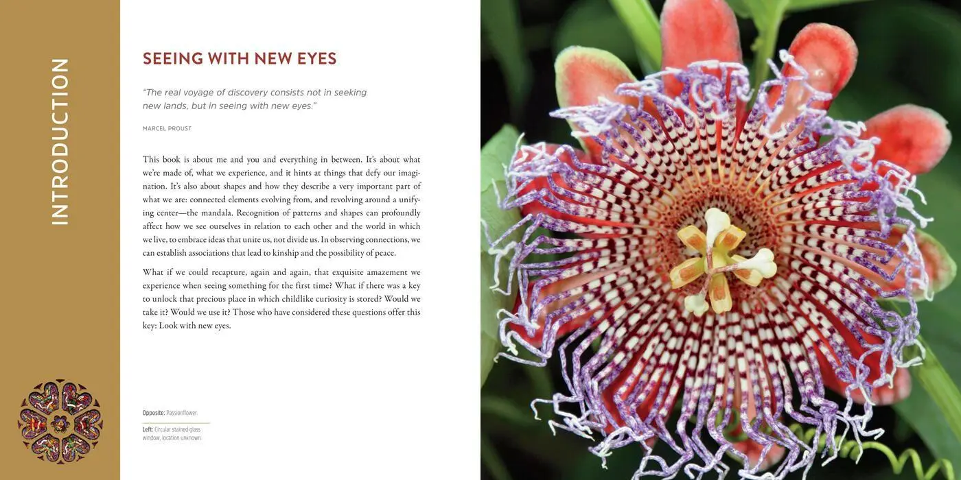 Bild: 9781454941798 | The Mandala Book | Patterns of the Universe | Lori Bailey Cunningham