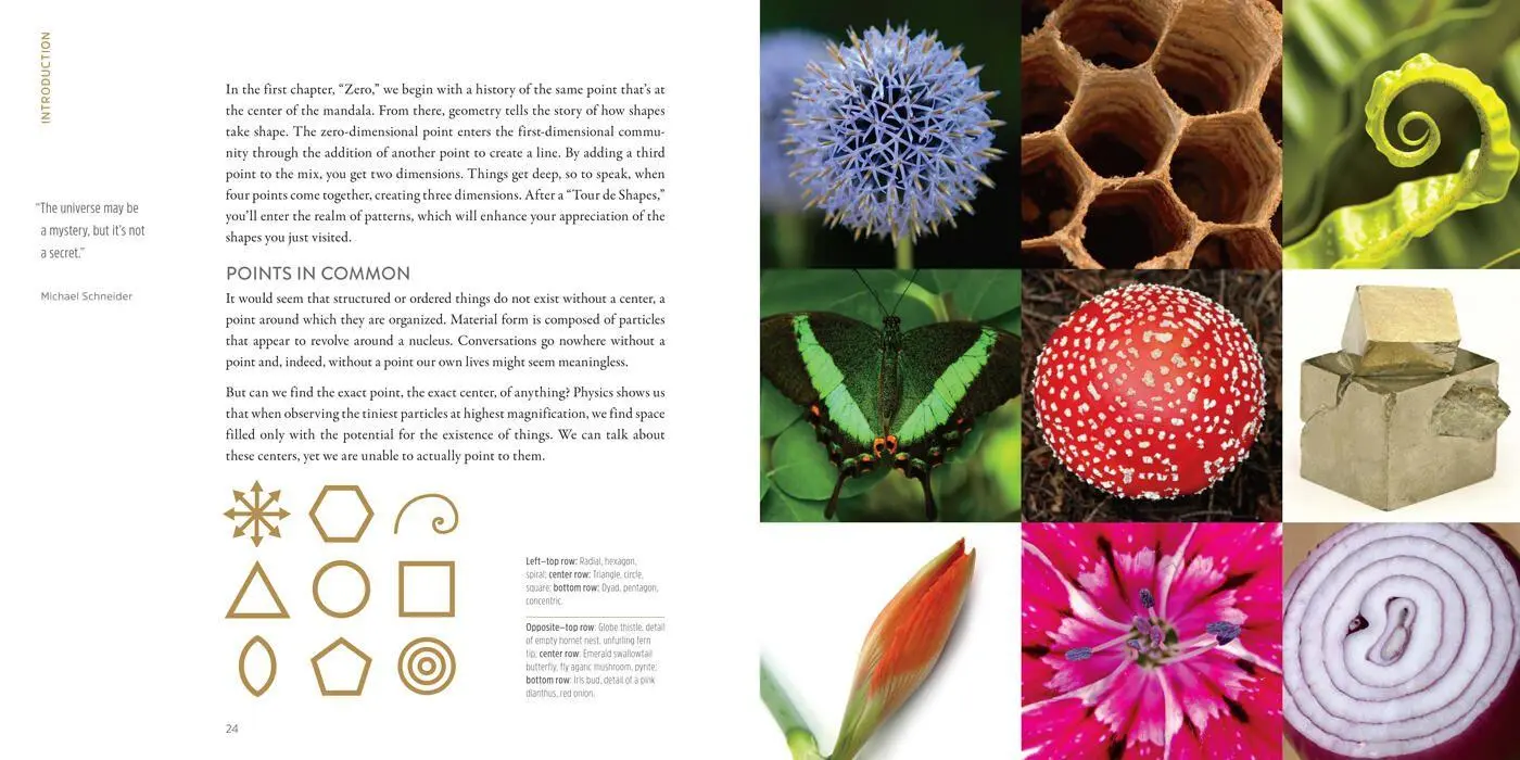Bild: 9781454941798 | The Mandala Book | Patterns of the Universe | Lori Bailey Cunningham