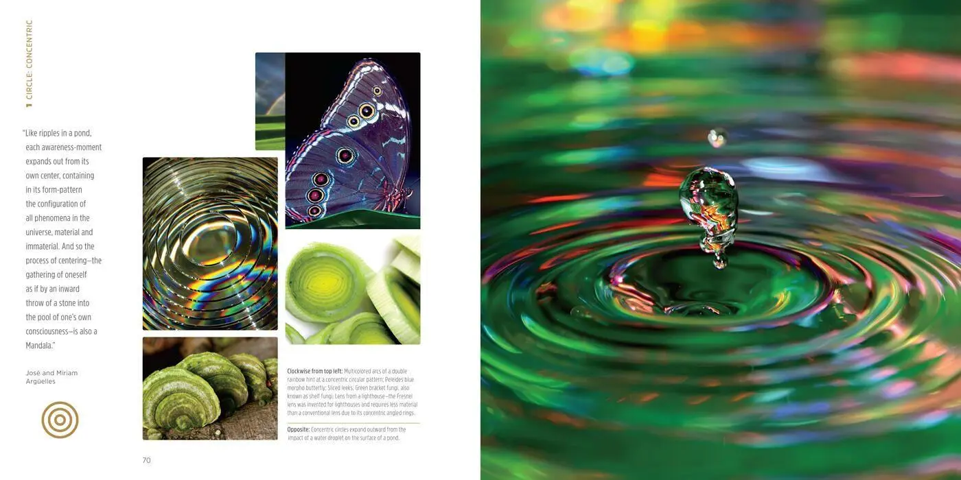 Bild: 9781454941798 | The Mandala Book | Patterns of the Universe | Lori Bailey Cunningham