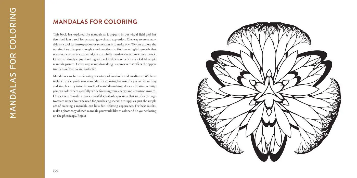 Bild: 9781454941798 | The Mandala Book | Patterns of the Universe | Lori Bailey Cunningham