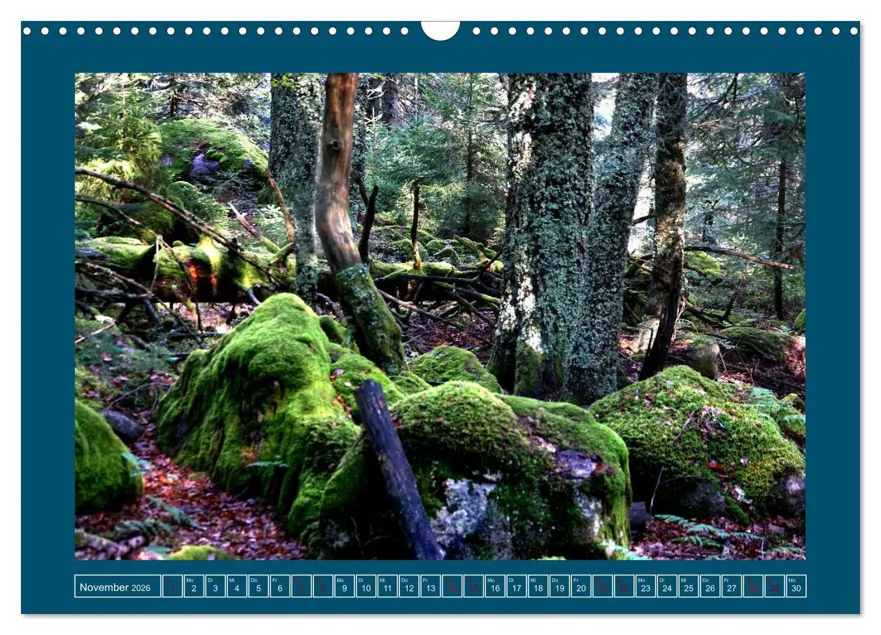 Bild: 9783457641798 | Faszinierendes Elsass (Wandkalender 2026 DIN A3 quer), CALVENDO...