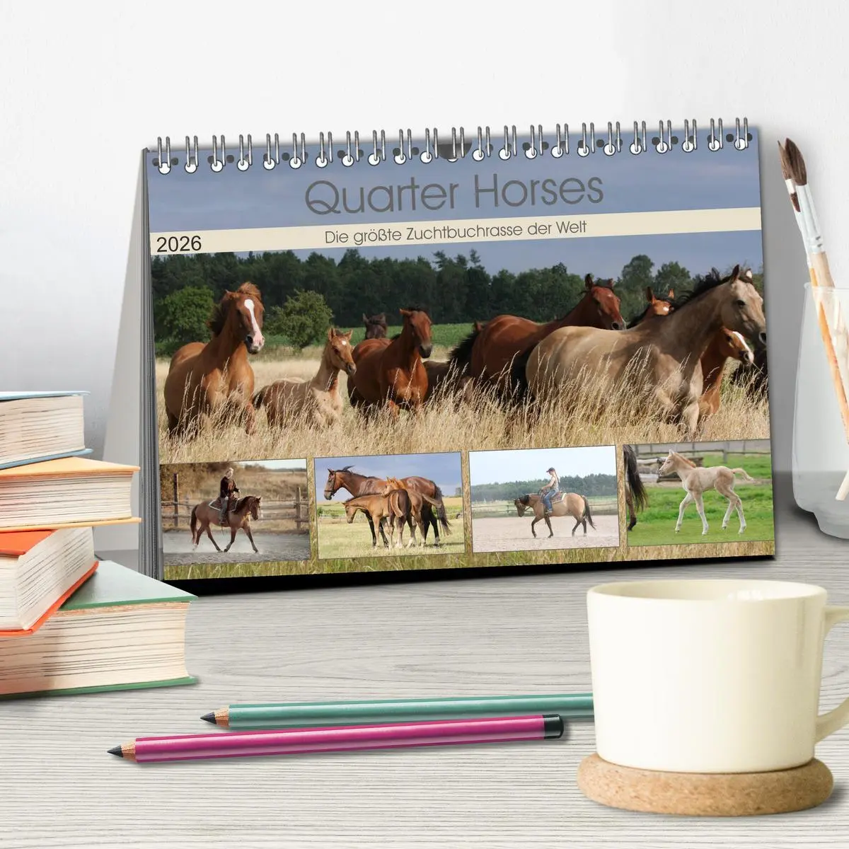 Bild: 9783457881798 | Quarter Horses - Die größte Zuchtbuchrasse der Welt (Tischkalender...
