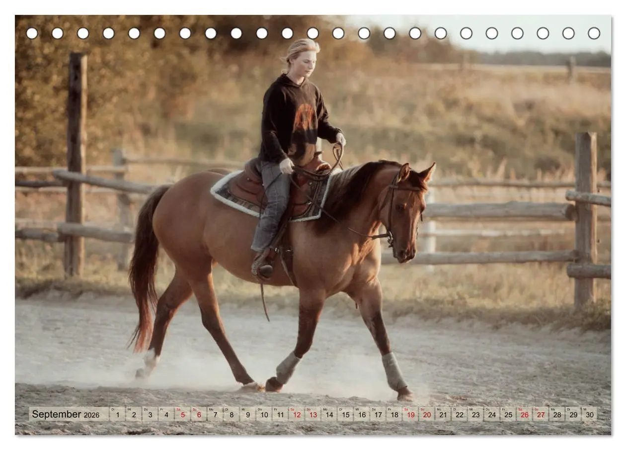 Bild: 9783457881798 | Quarter Horses - Die größte Zuchtbuchrasse der Welt (Tischkalender...