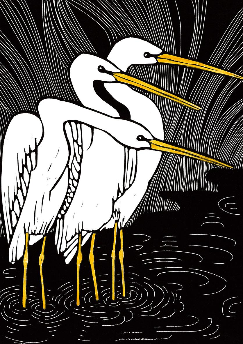 Bild: 9783772531798 | Das geht nie vorbei - Vogelmotive Postkartenbuch | Octavie Wolters