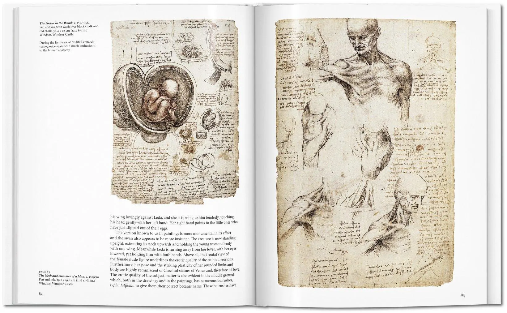 Bild: 9783836501798 | Leonardo | Frank Zöllner | Buch | Basic Art Series | Hardcover | 96 S.