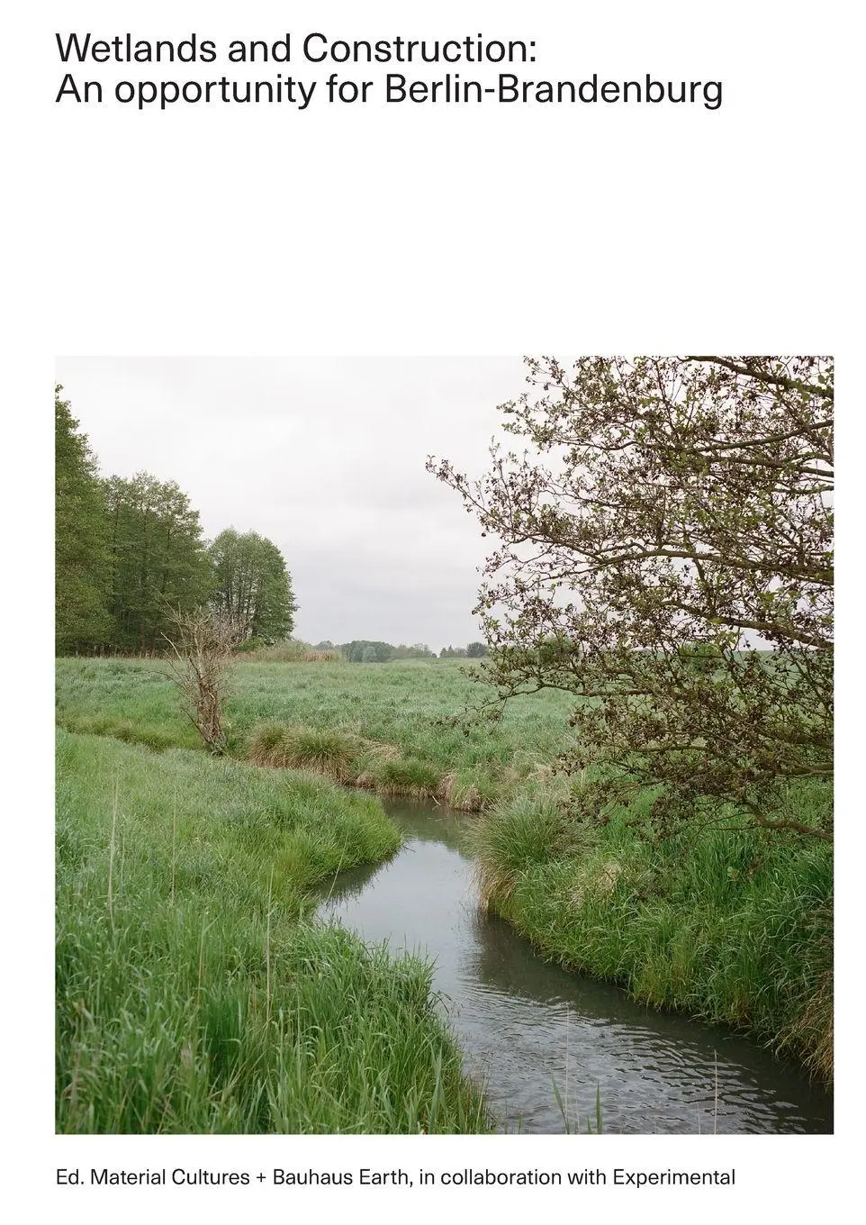 Cover: 9781312121898 | Wetlands and Construction | An opportunity for Berlin-Brandenburg
