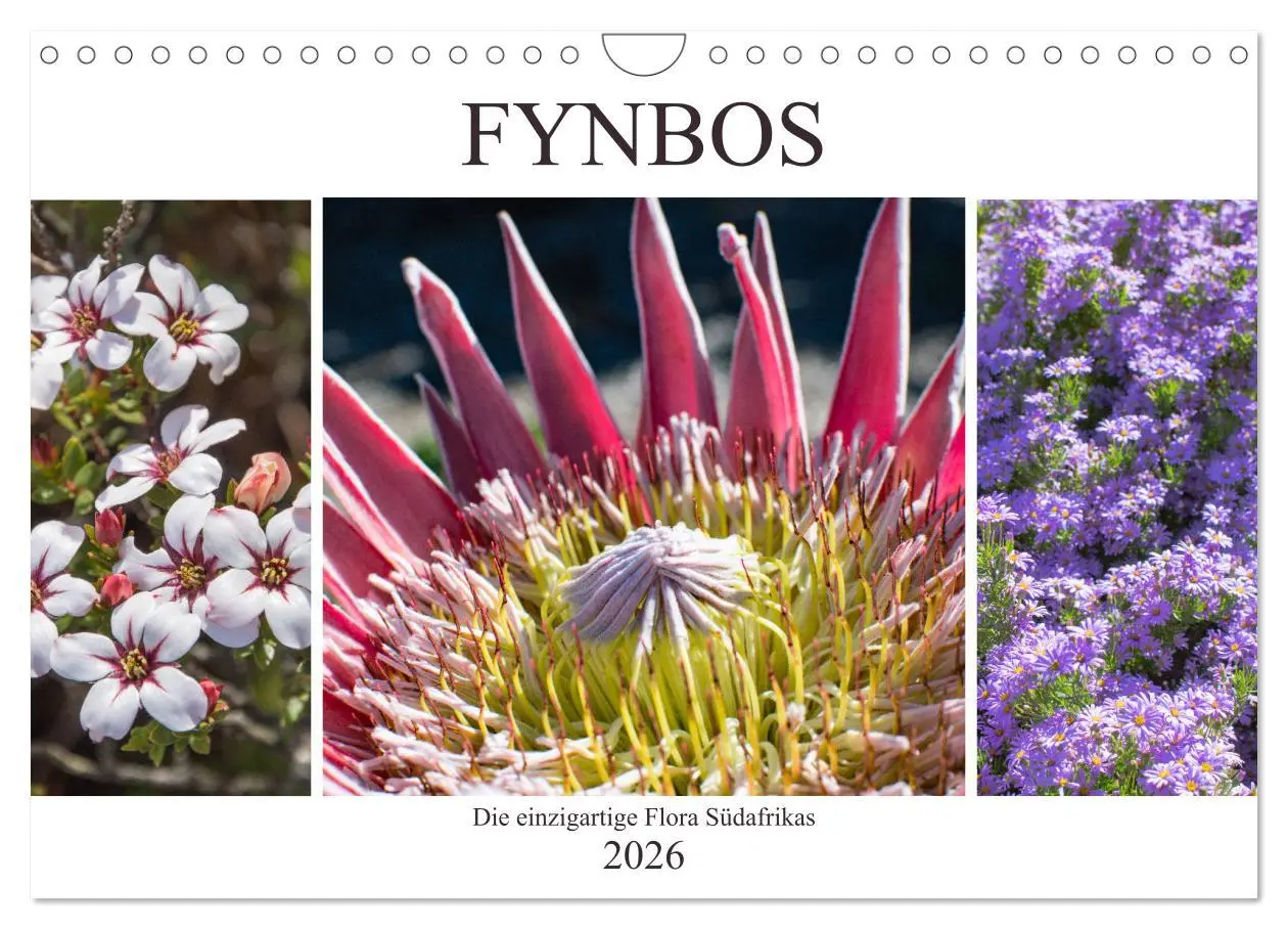 Cover: 9783457871898 | Fynbos - Die einzigartige Flora Südafrikas (Wandkalender 2026 DIN...