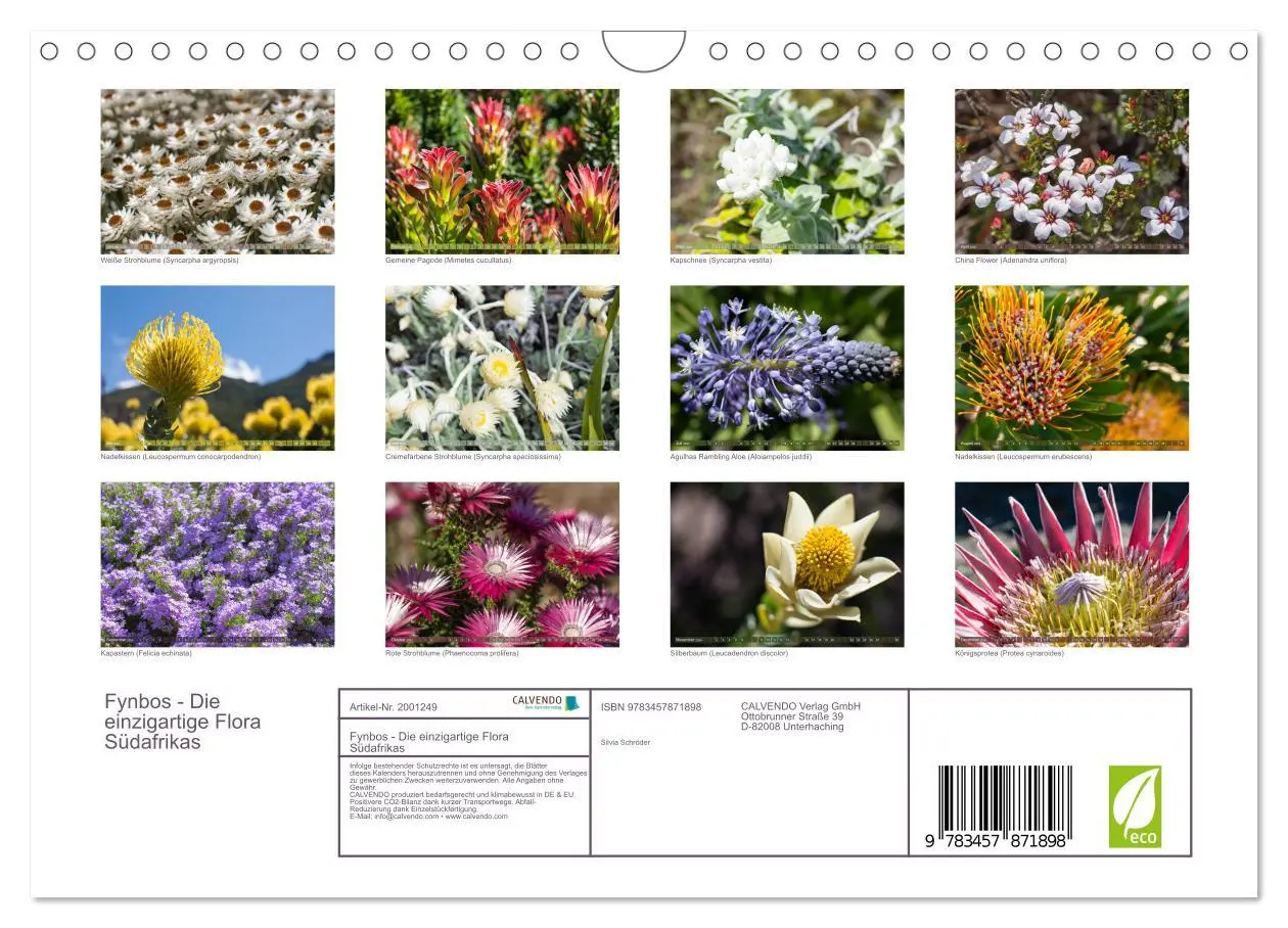 Bild: 9783457871898 | Fynbos - Die einzigartige Flora Südafrikas (Wandkalender 2026 DIN...