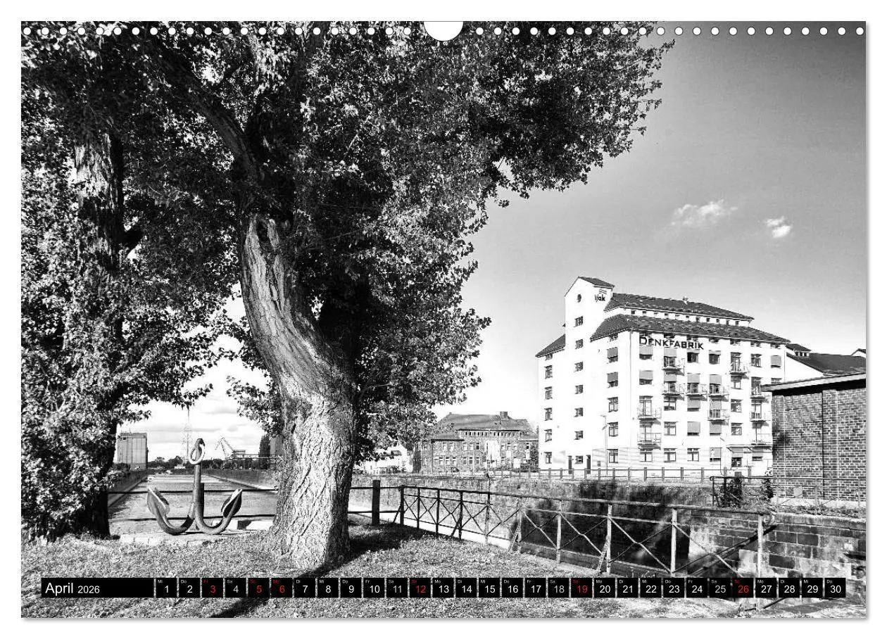 Bild: 9783516031898 | Magdeburg in Schwarz - Weiß (Wandkalender 2026 DIN A3 quer),...
