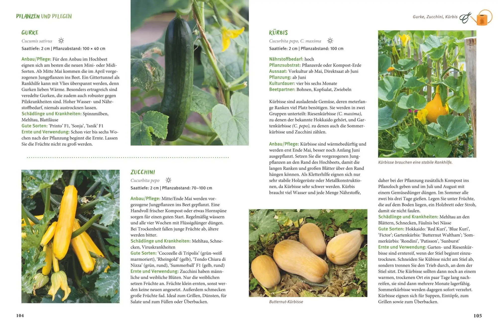 Bild: 9783758901898 | Gärtnern mit dem Hochbeet | Folko Kullmann | Buch | GU Garten extra