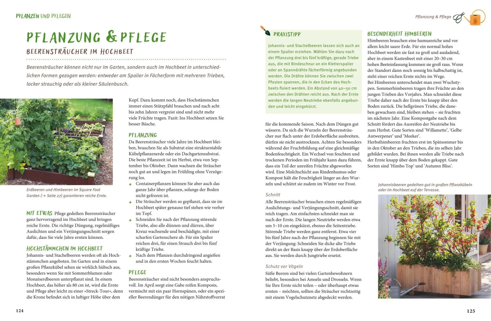 Bild: 9783758901898 | Gärtnern mit dem Hochbeet | Folko Kullmann | Buch | GU Garten extra