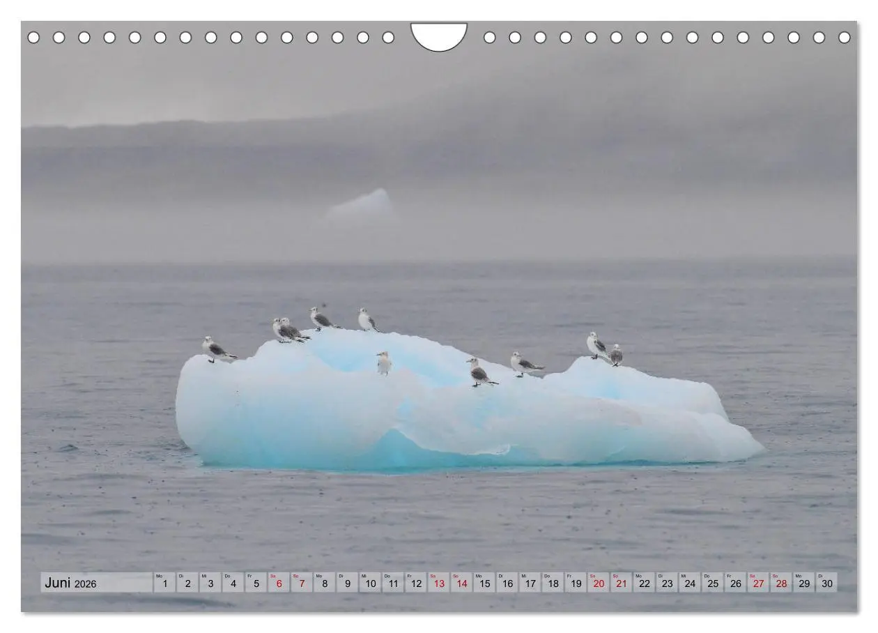 Bild: 9783457791998 | Grönland: Eisberge in der Disko Bucht (Wandkalender 2026 DIN A4...